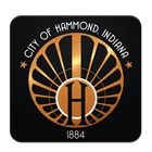 Hammond 311 图标