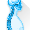 Posture Tracker icon