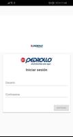 Pedrollo โปสเตอร์