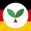 Learn German with Seedlang