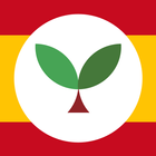 Learn Spanish with Seedlang 图标