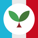 Learn French with Seedlang APK