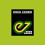 Enza Zaden