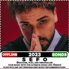 SEFO-Turkish music-اغاني تركية icône