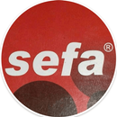Sefa English Academy APK