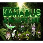Kanabus Plants Life-icoon