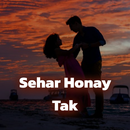 Urdu Novels Love Story offline APK