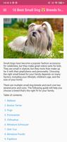 Small Dog Breeds Affiche