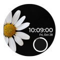 SEOR | FLOWERS