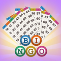 Classic Bingo Game