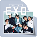 Selfie With EXO