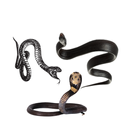 Snake Stickers for WhatsApp APK