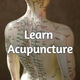 Acupuncture Points Book biểu tượng