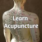 Acupuncture Points Book icono