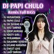 DJ Papi Chulo Remix-icoon
