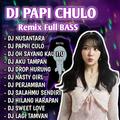 DJ Papi Chulo Remix