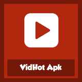 VidHot ikon