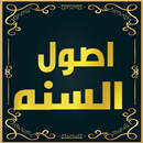 كتاب اصول السنه APK