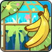 바나나 하우스