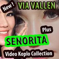 Senorita Vallen - Koplo-x punya تصوير الشاشة 1