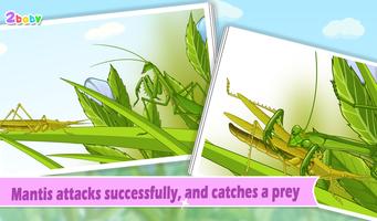 昆虫世界-螳螂 有趣的儿童互动绘本故事书 截圖 1