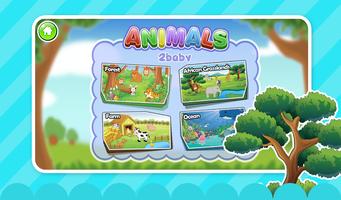 Animals poster