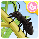 Ant - Insect World APK