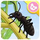 Ant - Insect World APK