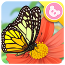 Butterfly - Insect World APK