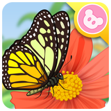 Butterfly icono