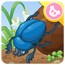 Dung Beetle - Insect World APK