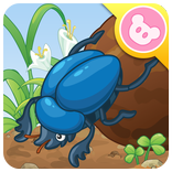 Dung Beetle - Insect World