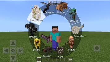 Morph Mod Minecraft ポスター