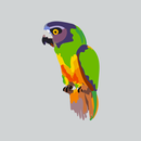Senegal Software APK