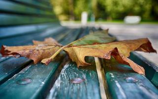 Meilleur Fonds d'automne capture d'écran 2