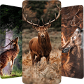 Deer Wallpapers 4K
