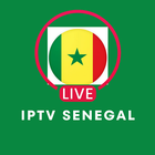 Senegal tv en direct 아이콘