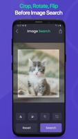 Reverse Image & Photo Search постер