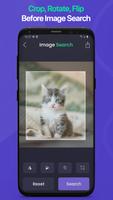 Reverse Image & Photo Search Affiche