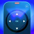 Roku Remote