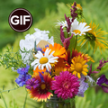 Flowers Gif