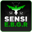 Sensi E.B.G.R - FFH4X TURBO