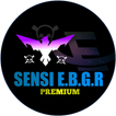 ”Sensi E.B.G.R V2