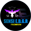 Sensi E.B.G.R V2 APK