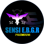 Sensi E.B.G.R V2 أيقونة