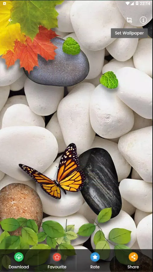 4K-HD Mobile Wallpapers 2019 - Free APK for Android Download 4K-HD Mobile Wallpapers 2019 - Free APK for Android Download