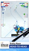 WORLD CUP SKI RACING スクリーンショット 2