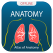 Human Anatomy Handbook 圖標