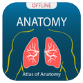 Human Anatomy Handbook