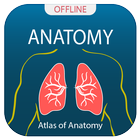 Human Anatomy Handbook icon